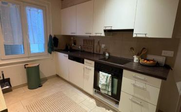 Apartment 3.5 rooms - image - 9
