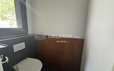 Duplex 4 Zimmer - image - 7