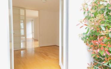 Apartment 3.5 rooms - image - 2