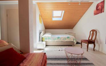 Apartment - image - 14