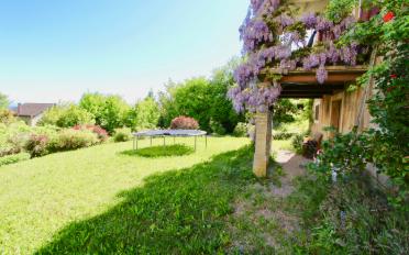 Einfamilienhaus - image - 4