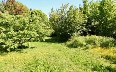 Einfamilienhaus - image - 10