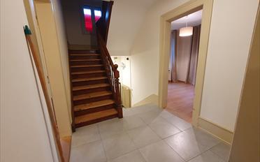 Villa - image - 6
