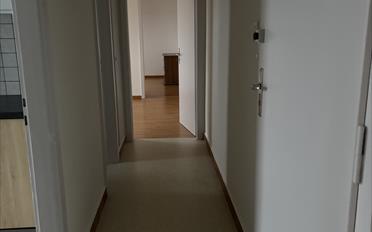 Wohnung 3 Zimmer - image - 2