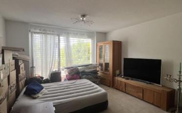 Wohnung 3.5 Zimmer - image - 2