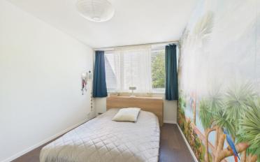Wohnung 4.5 Zimmer - image - 6