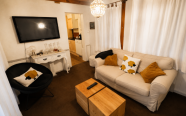 Residential building 15.5 rooms - image - 2