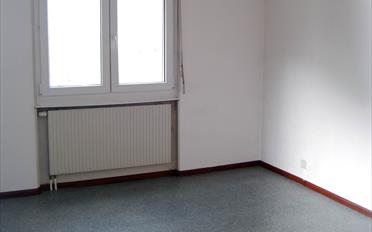 Wohnung 2.5 Zimmer - image - 3