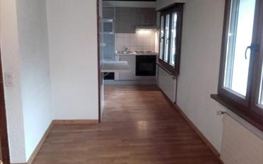 Wohnung 2.5 Zimmer - image - 1