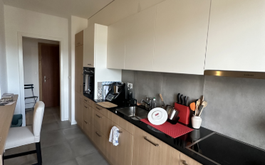 Apartment 2.5 rooms - image - 6