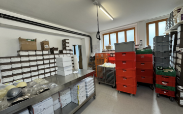 Gewerbe 6 Zimmer - image - 7