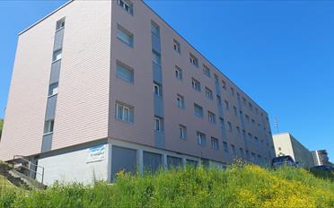 Wohnung ein Zimmer - image - 1