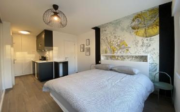 Furnished flat 1 room - image - 2