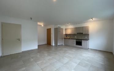 Wohnung 2.5 Zimmer - image - 1
