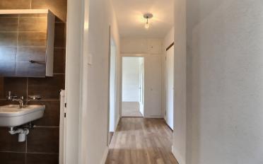 Wohnung 2.5 Zimmer - image - 5
