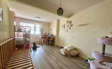 Apartment 2.5 rooms - image - 2