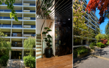 Apartment - image - 1