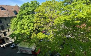Wohnung 5.5 Zimmer - image - 2