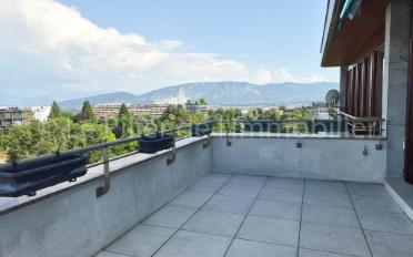 Wohnung - image - 1