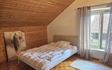 Single room 1 room - image - 1