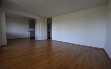 Wohnung 3.5 Zimmer - image - 2