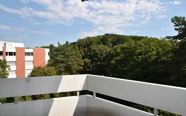 Wohnung 3.5 Zimmer - image - 9