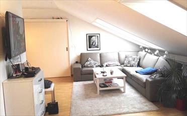 Wohnung 2.5 Zimmer - image - 2