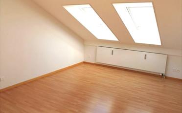 Wohnung 2.5 Zimmer - image - 4