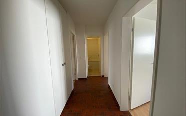 Wohnung 4.5 Zimmer - image - 7