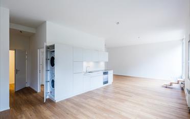 Wohnung 1.5 Zimmer - image - 3