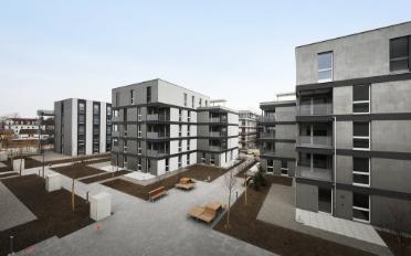 Wohnung 3.5 Zimmer - image - 1