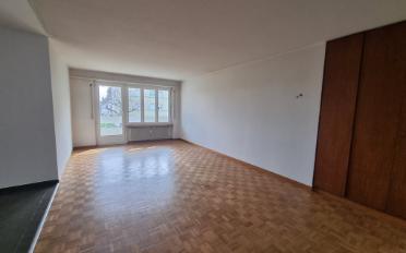 Wohnung 3.5 Zimmer - image - 2