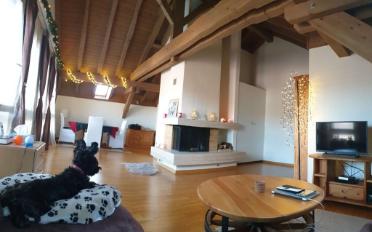 Wohnung 2.5 Zimmer - image - 2