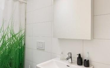 Apartment 3.5 rooms - image - 6