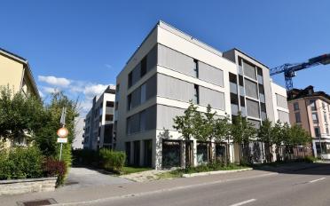 Wohnung 2.5 Zimmer - image - 1