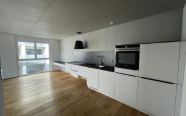 Wohnung 2.5 Zimmer - image - 5