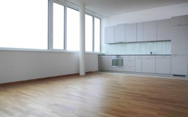 Wohnung 3.5 Zimmer - image - 2