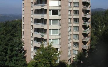 Wohnung 2.5 Zimmer - image - 1