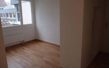 Wohnung 2.5 Zimmer - image - 5