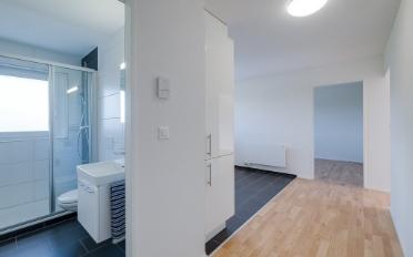 Apartment 2.5 rooms - image - 7