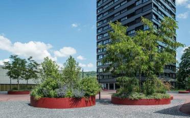 Apartment 2.5 rooms - image - 1
