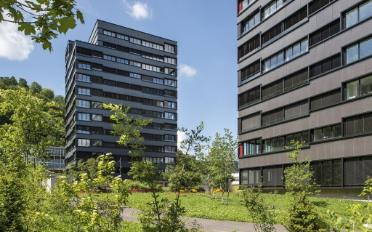 Apartment 2.5 rooms - image - 7