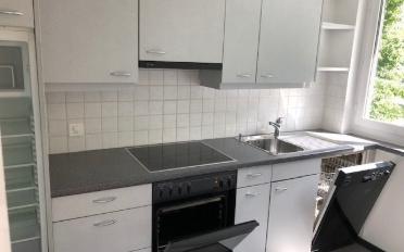 Appartement 3.5 pièces - image - 2
