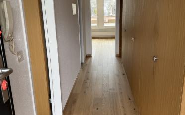 Attic flat 2.5 rooms - image - 4