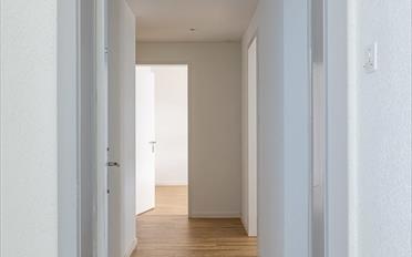 Wohnung 2.5 Zimmer - image - 7