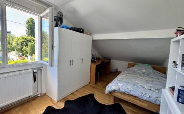 Single house 8 rooms - image - 5