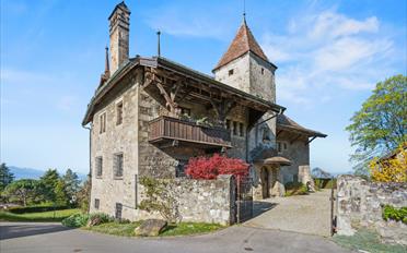 Schloss 12.5 Zimmer - image - 4