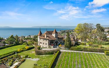 Schloss 12.5 Zimmer - image - 13