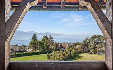 Schloss 12.5 Zimmer - image - 11