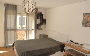 Maison contiguë 6.5 pièces - image - 12